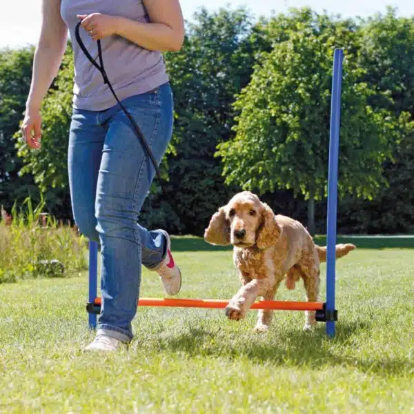Trixie Agility hund Hurdle Hopphinder